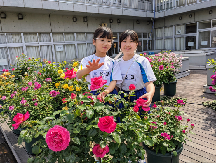 伊奈町立小針小学校