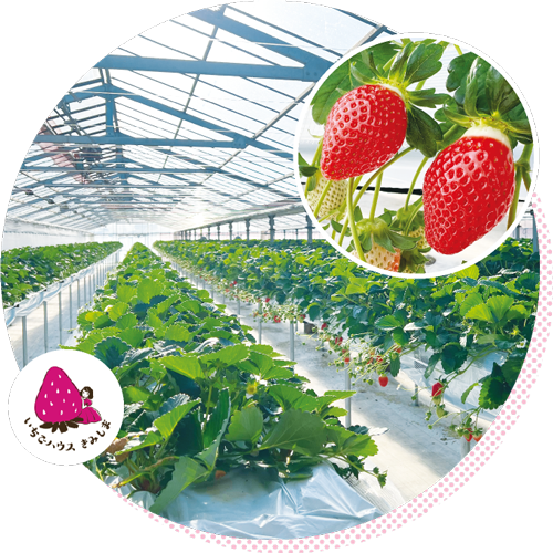 いちごハウスきみしまの写真