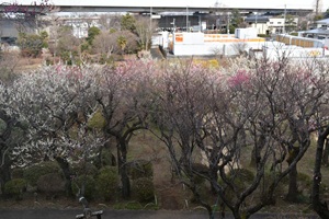 見晴台から_20260220