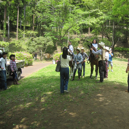 ウマとのふれあいコーナー