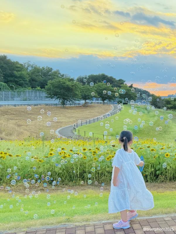 身近な緑郵デ 1