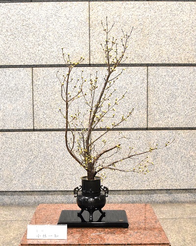 1月29日生け花写真