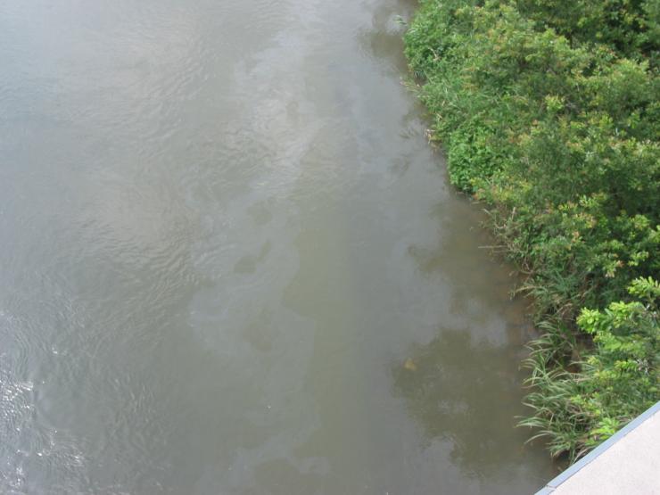 油流出事故により油膜が見える河川の様子の写真