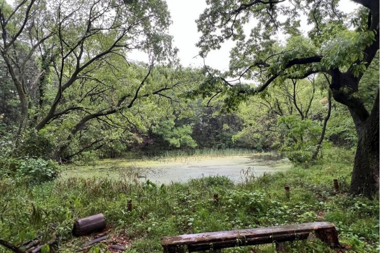 荒川大麻生公園
