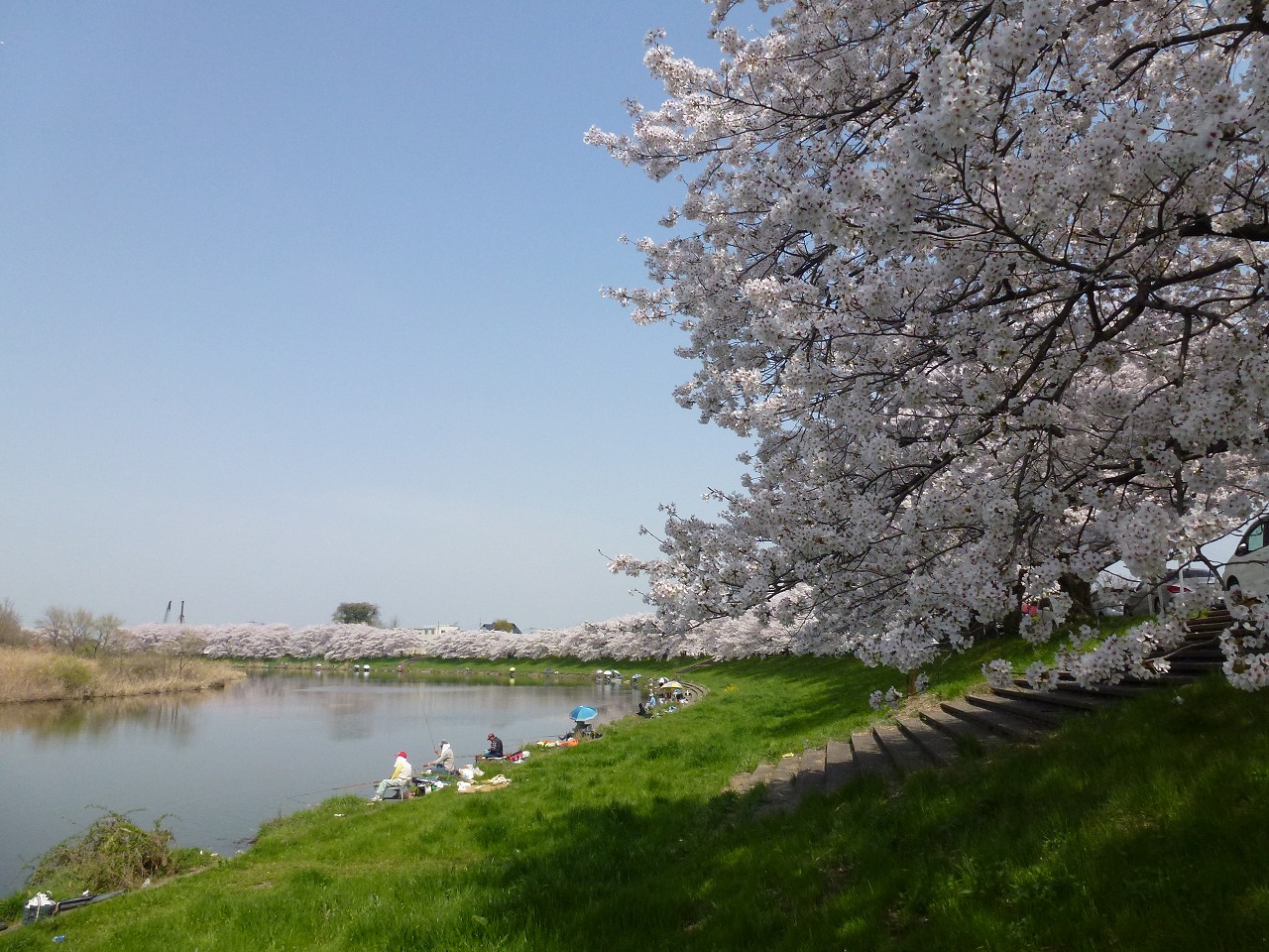 調整池