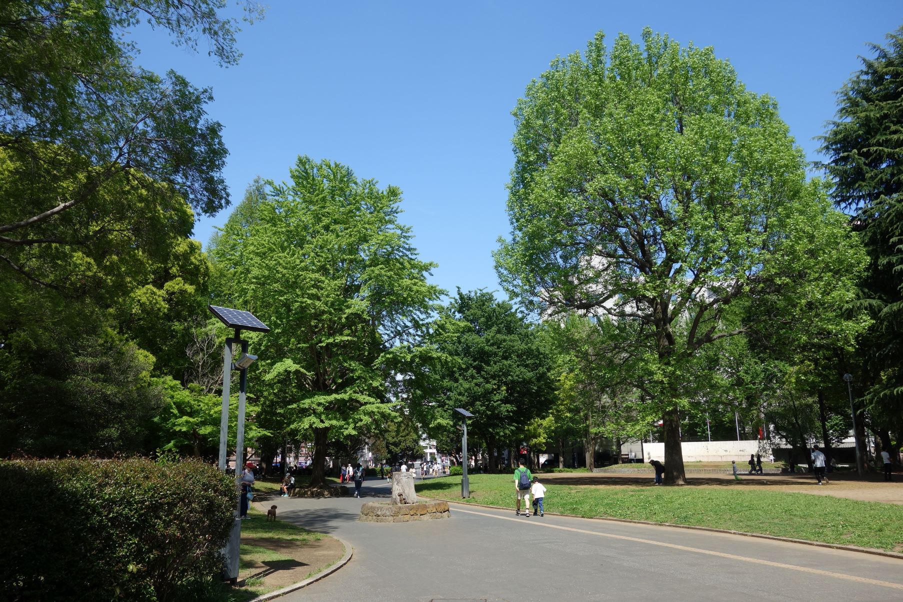 北浦和公園