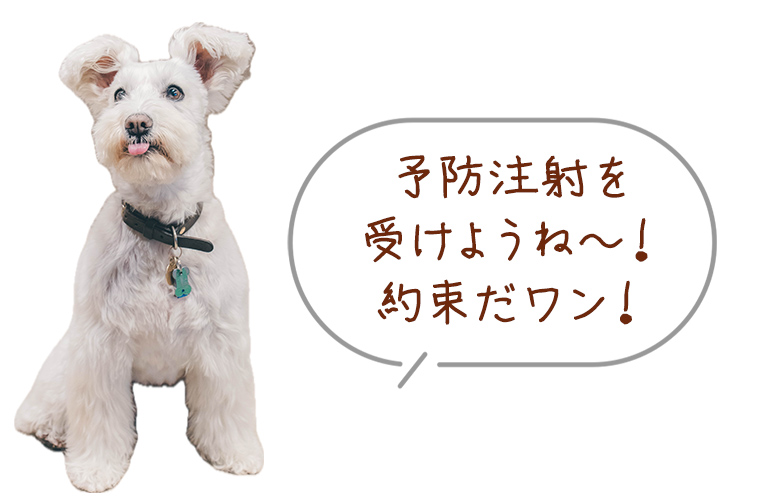 もちおくん 予防注射を受けようね～！約束だワン！