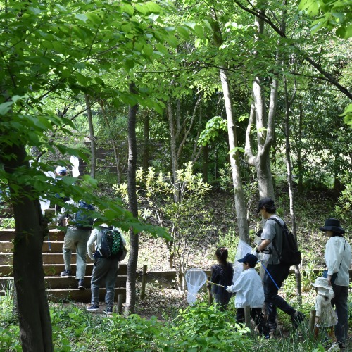 里山の中を散策する参加者の写真