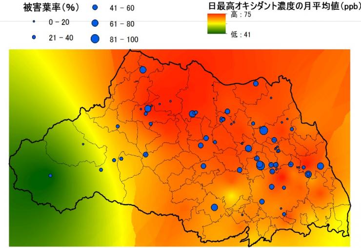 被害葉率及びオキシダント濃度を表した図