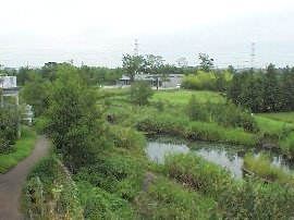 下の池の写真