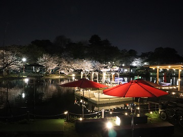 ボートハーバー