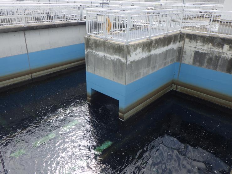 message-2025-yoshimi03