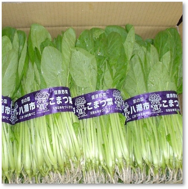 こまつな八潮市