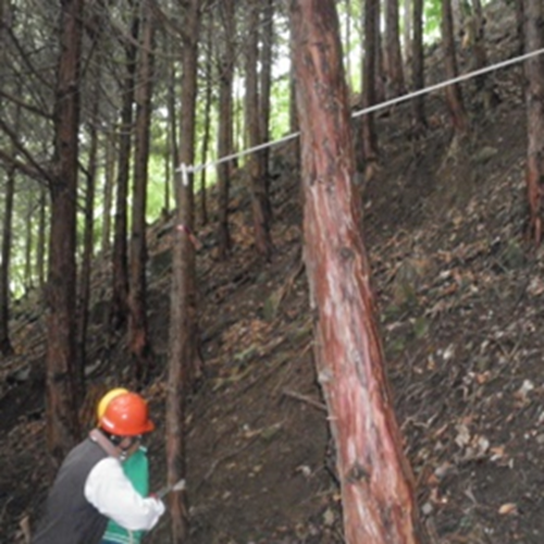 間伐体験と木製風鈴作り1の写真