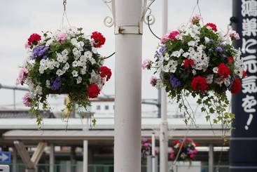 街なかの花装飾