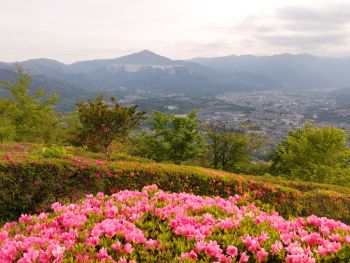 エントランス広場見頃2