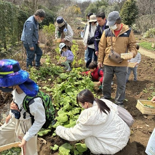 参加者が野草を摘む様子の写真