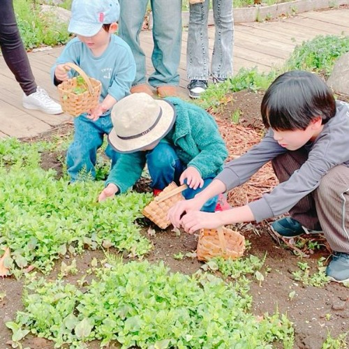 園内の植物を観察する様子の写真