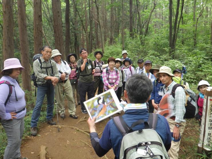 名栗シニア自然塾