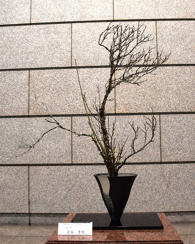 1月20日生け花写真