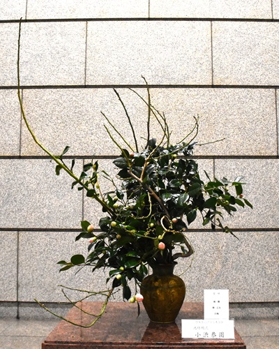 1月27日生け花写真