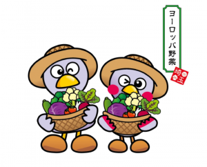 ヨーロッパ野菜