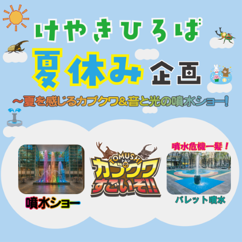 カブクワ