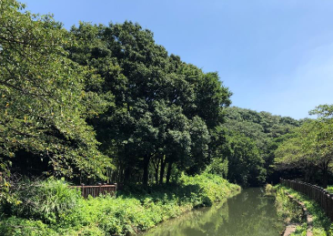 07見沼田圃