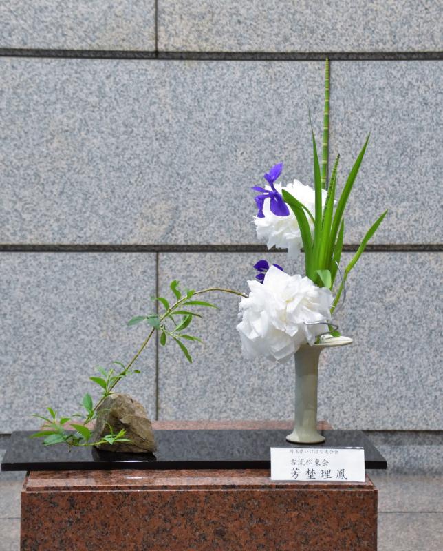 4月27日しゃしん