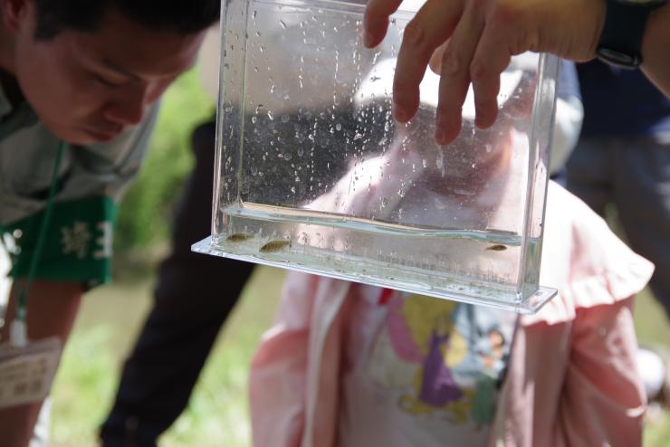 写真12