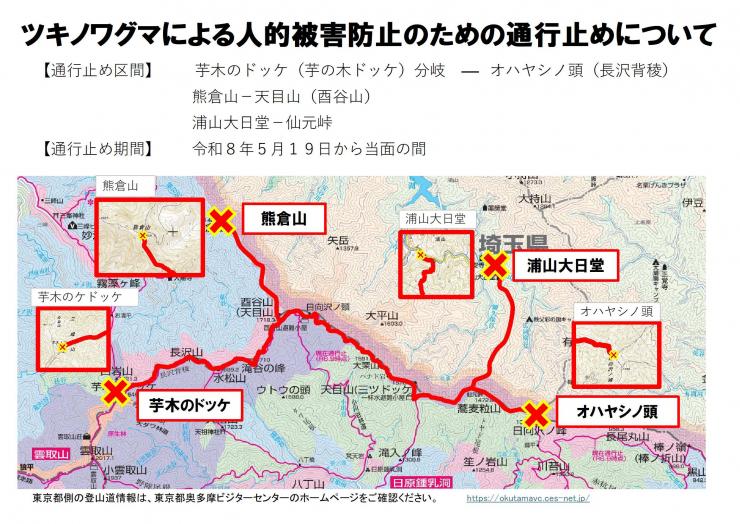 ツキノワグマ