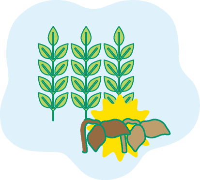 草が枯れるイラスト
