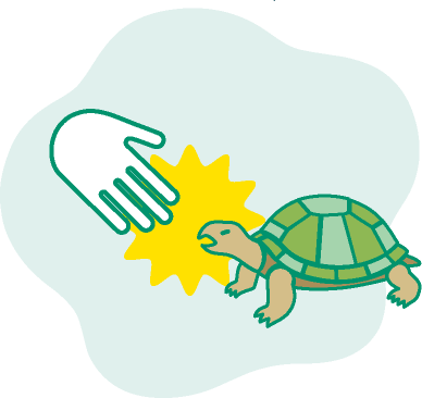 カメが手を噛むイラスト