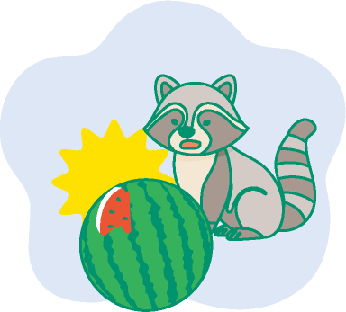 アライグマがスイカを食べるイラスト