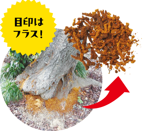 目印はフラス！