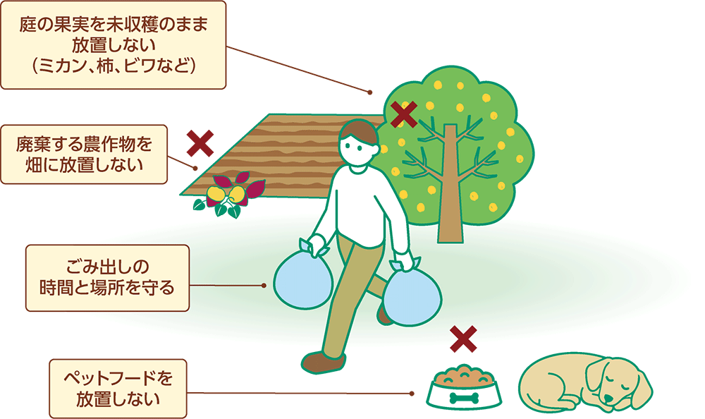庭の果実を未収穫のまま放置しない(ミカン、柿、ビワなど)/廃棄する農作物を畑に放置しない/ごみ出しの時間と場所を守る/ペットフードを放置しない