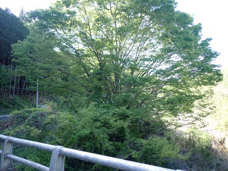 施工前定峰