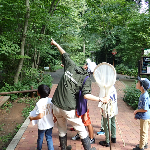 小学生がスタッフから虫の解説を受ける様子の写真