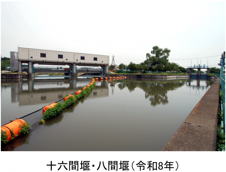 hatijurokureiwa8