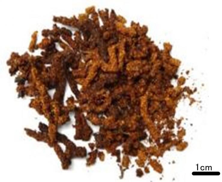 fig2_260615