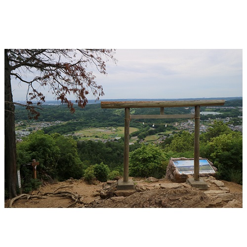 日和田山の眺め