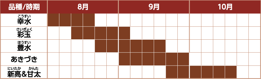 埼玉の梨カレンダー(8月〜10月)