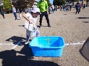 中西地区4