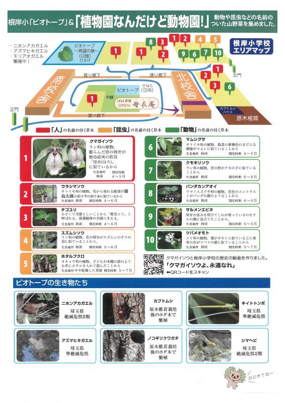クマガイソウまつりチラシ2