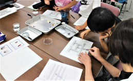参加者の親子が、迷路を使ってダンゴムシの習性に関する実験を行っている様子の写真。