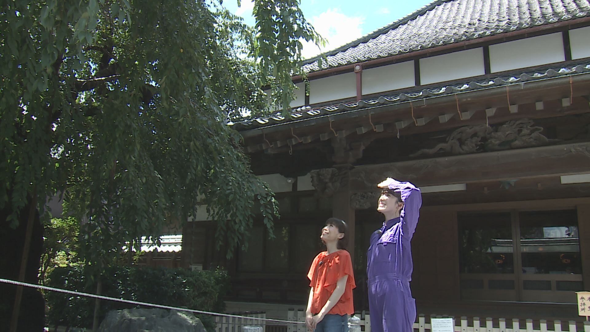 玉蔵院