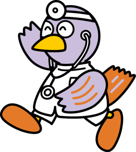 白衣のコバトン