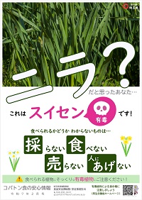 コバ食R7.2月号r