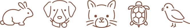 色々な動物(うさぎ、犬、猫、亀、鳥)のイラスト