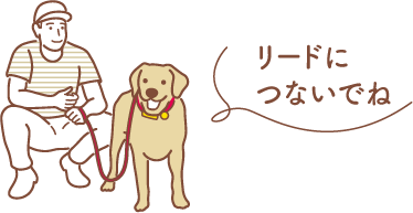 リードにつないでね